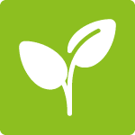 Cg Pictos Rse Fond Vert Fonce