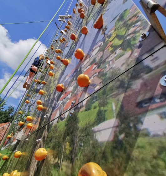 Mur d'escalade pommier