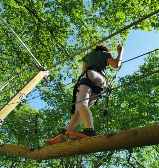 Location parcours accrobranche