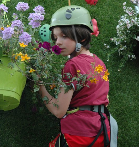 Mur d'escalade citygrimp