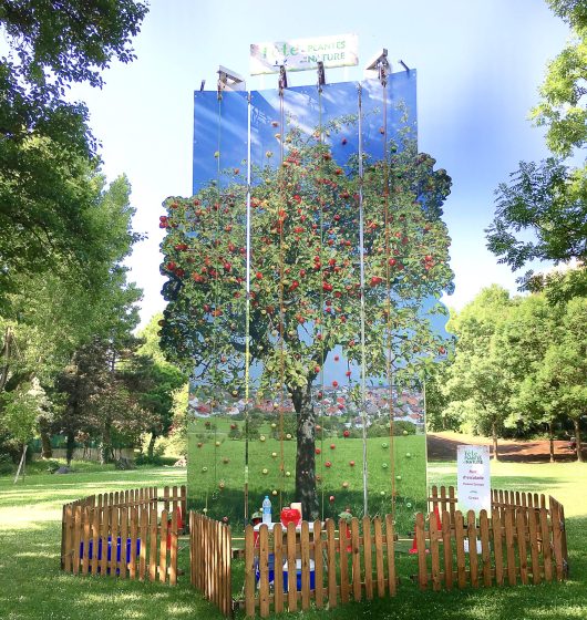 Location mur d'escalade city grimp