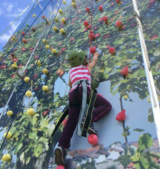 Location mur d'escalade